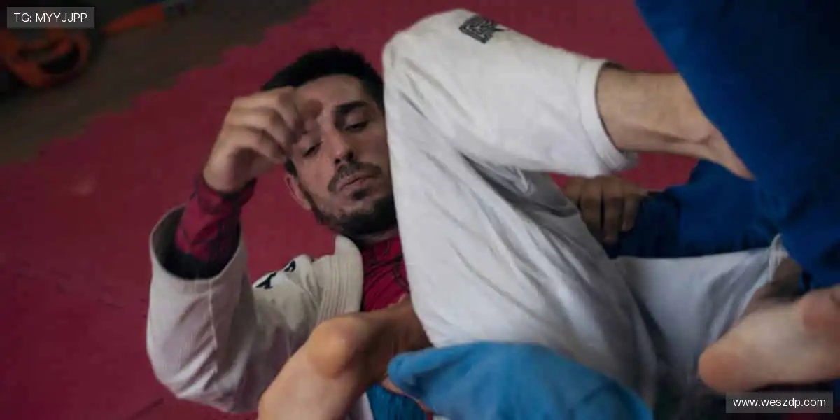 🎁🌟 限量周边,收藏你的热爱!